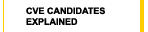 CVE Candidates Explained